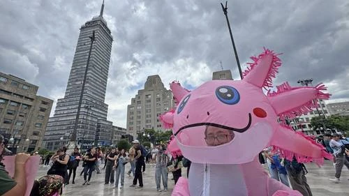Defensores del ajolote protestan en Bellas Artes   