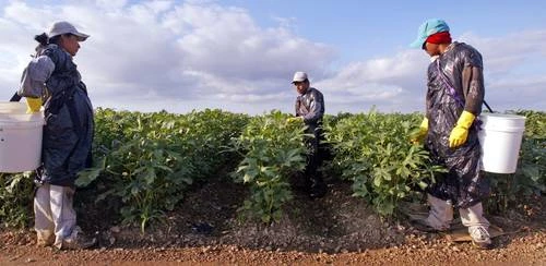 Connacionales en EU producen más que Brasil, Canadá o México   