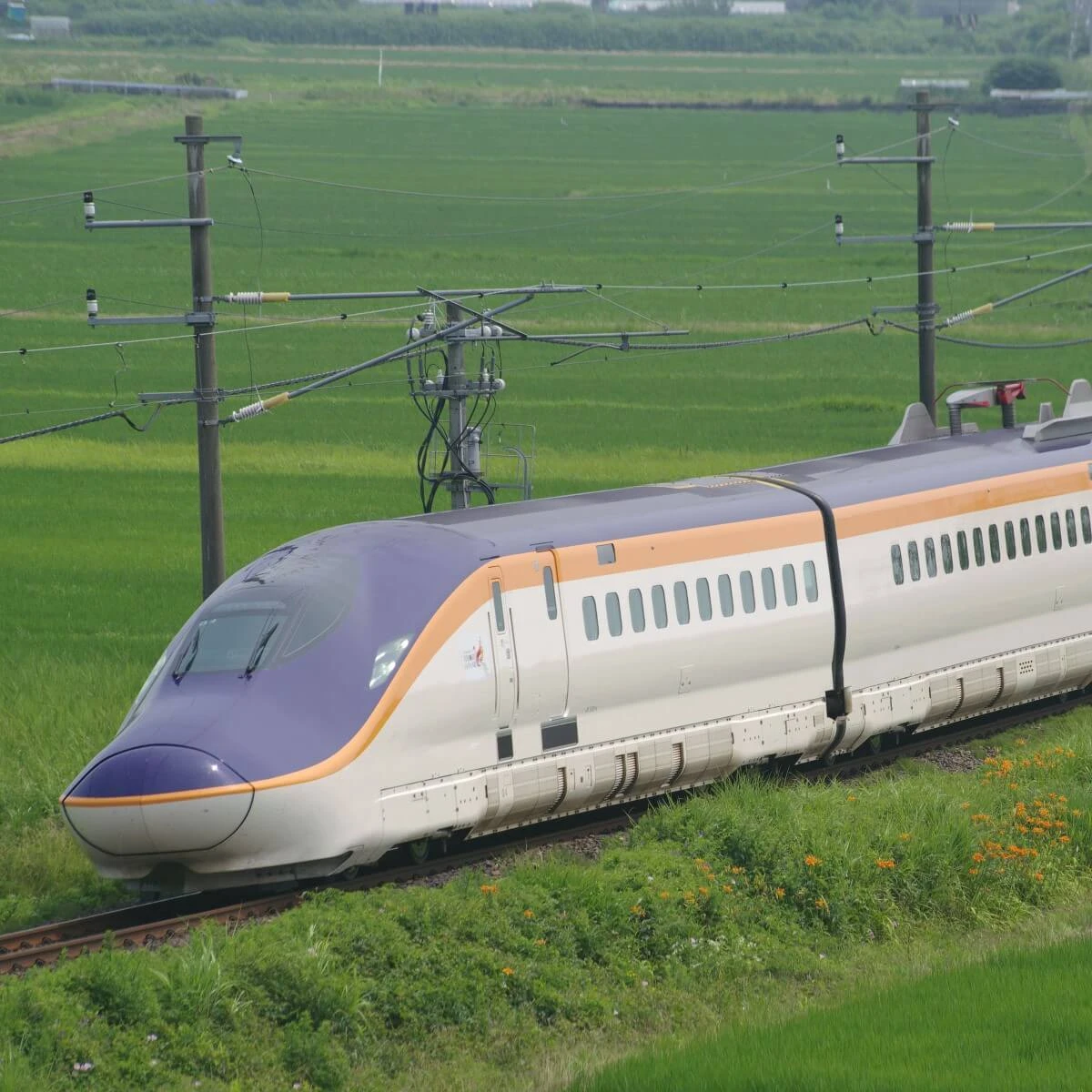 これで何度目？ 東北新幹線でトラブルが多発するワケ