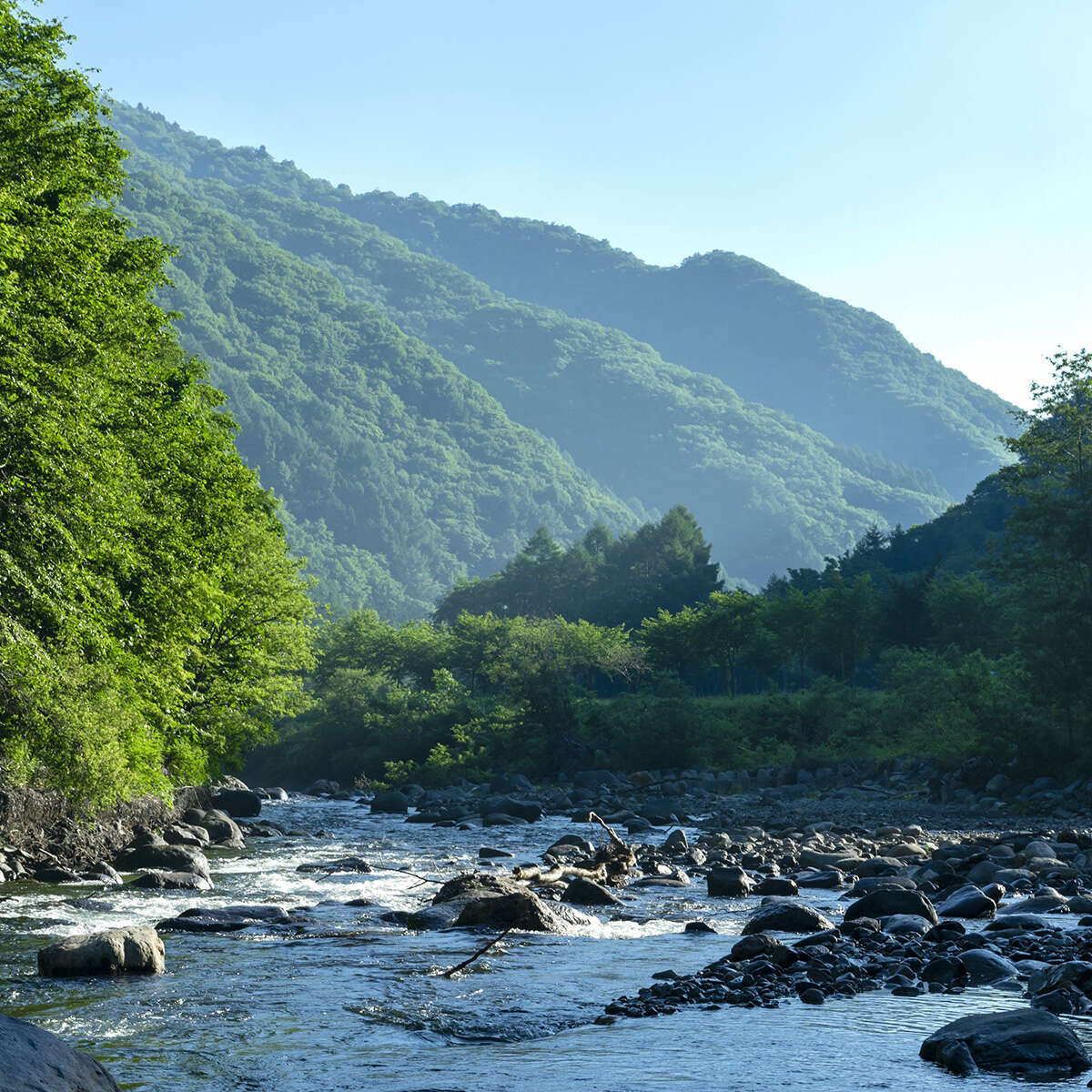 引っ越しや移住先選びの必須項目！？自治体で年間10万円も違う「国保の保険料格差」とは