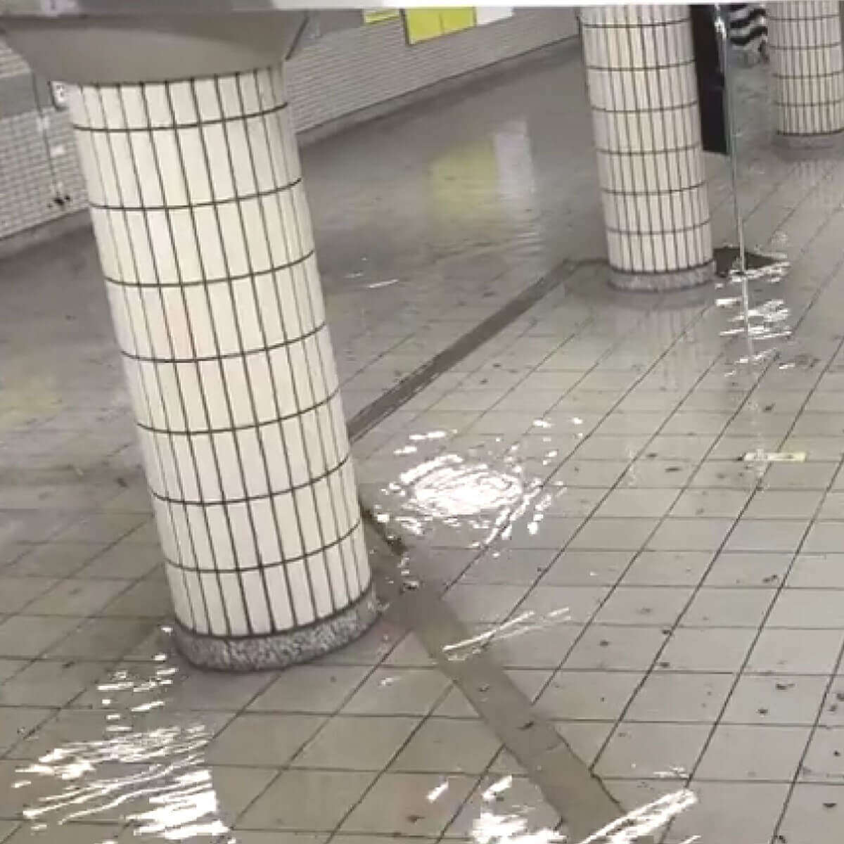 「あの水なら飲めそう！」都内ゲリラ豪雨の浸水映像で外国人が驚いた“日本の下水処理能力”