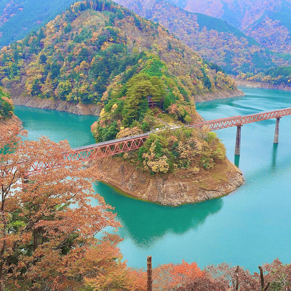 絶景を肴に列車旅！これが秋にオススメ「全国のローカル紅葉路線」だ