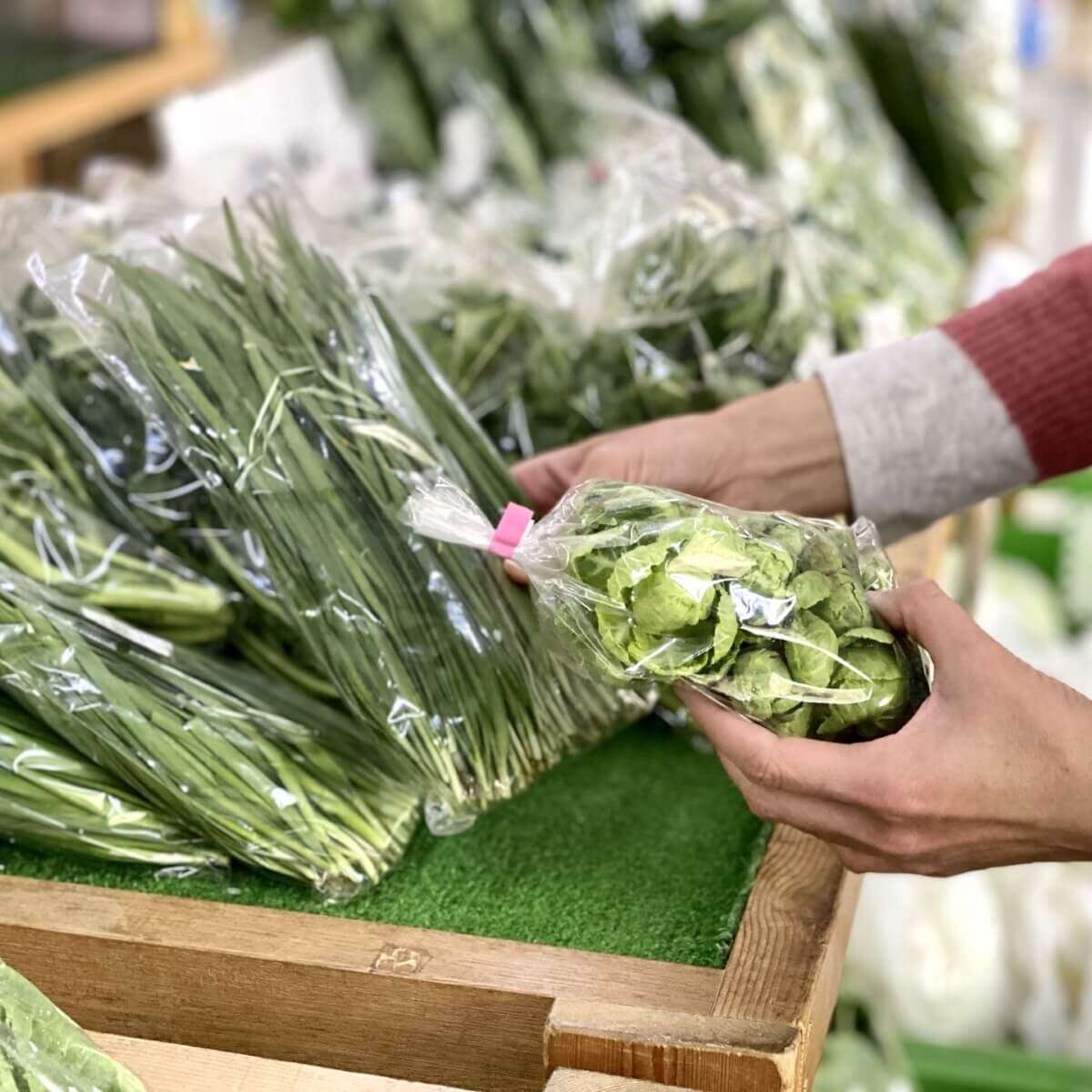 高齢農家しか勝たん！「道の駅」の野菜が安すぎて「赤字→撤退」の本末転倒