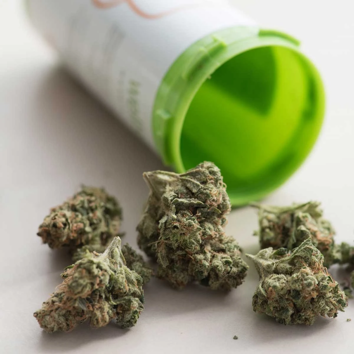 押収大麻20トン焼却処分でトルコの街がトンデモないことに！知事が主導の呆れた大騒動