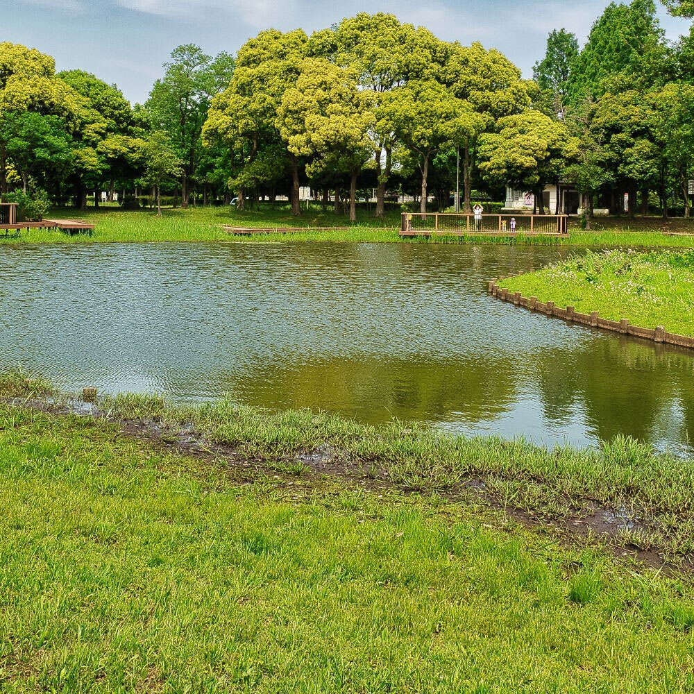 「水元公園」警鐘投稿が大バスりしたワケ