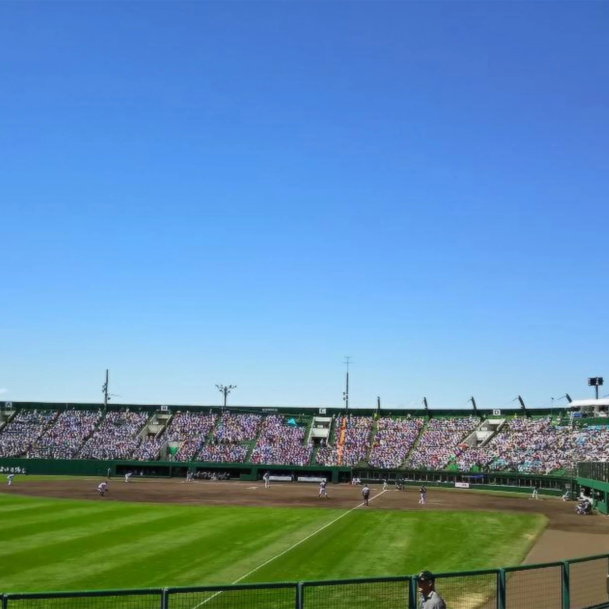 プロ野球の地方開催が激減　“ゼロ開催”の球団も…ファンとの距離は広がるばかり？