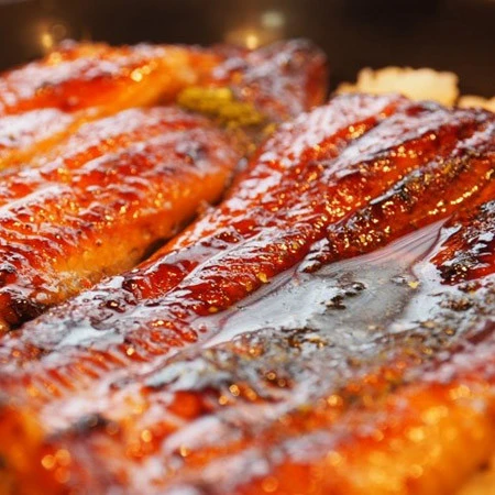 二ホンウナギがワシントン条約対象で「土用の丑の日」が大ピンチ！？