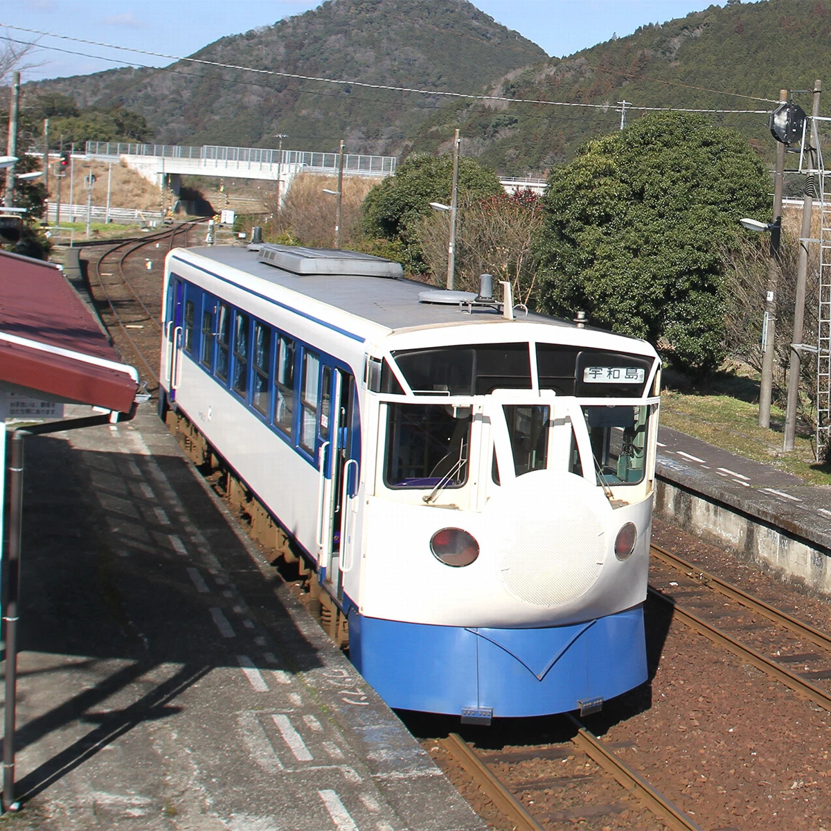 予約不要！「運賃のみで乗れる観光列車」を徹底調査