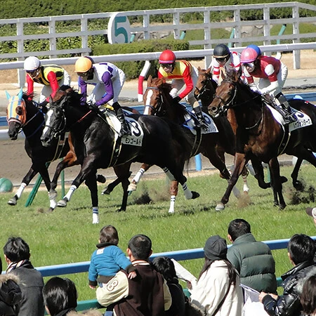 落馬負傷から復帰でいきなり2勝!佐々木大輔騎乗「今週の注目馬」　