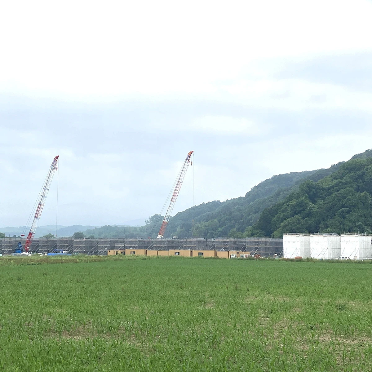 北海道新幹線“延伸区間”に誕生する新八雲駅が「秘境駅確定」と囁かれるワケ