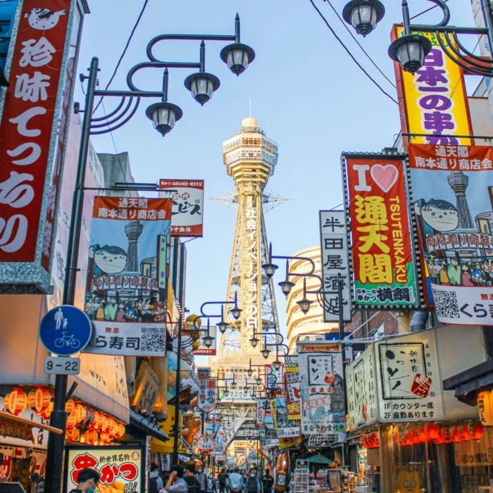 大阪市街地でキツネの目撃情報が増加中！ 都市部に広がる“野生動物の足音”気をつける点は…