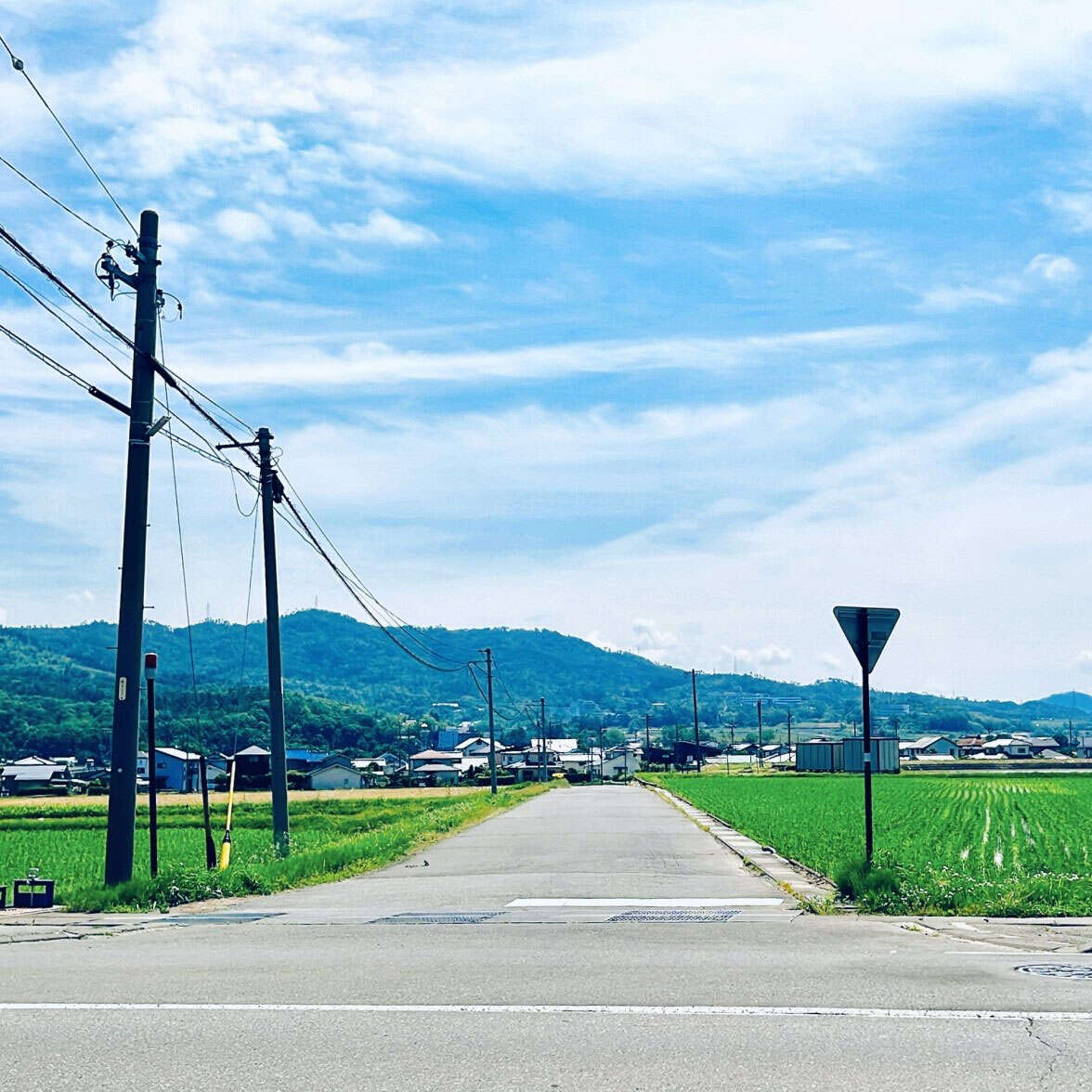 帰省した田舎道で衝突事故を起こすのはなぜか…「コリジョンコース現象」の罠