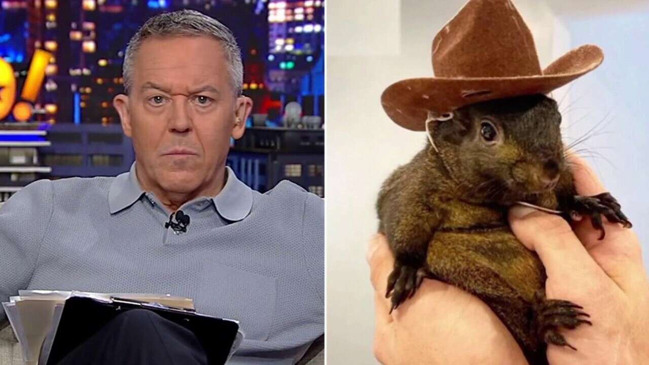 GREG GUTFELD: You 'red pill' Americans by raiding their homes and murdering their pets