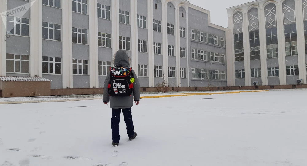В каком формате пройдет вторая четверть для казахстанских школьников
