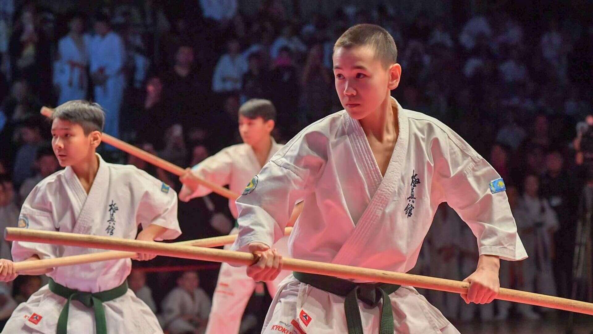 BUSHIDO CUP объединил любителей каратэ