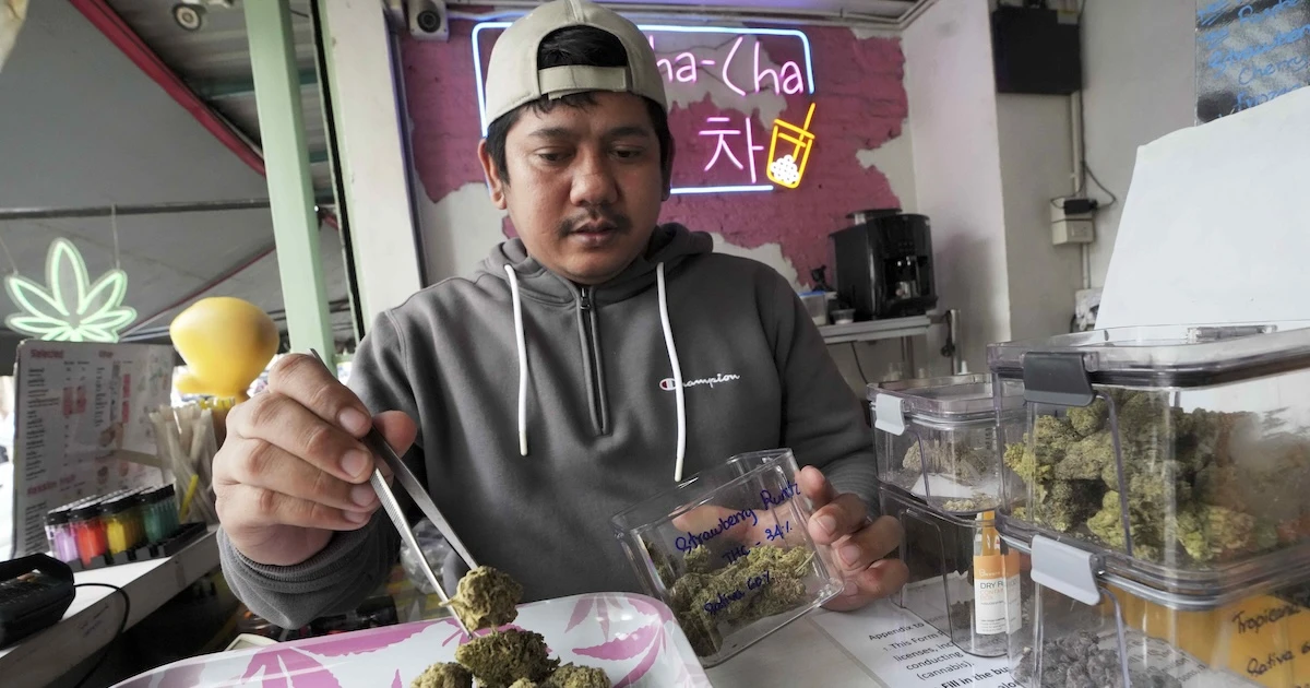 pochi secondi faIl nuovo divieto della cannabis in Thailandia è un pasticcioMigliaia di negozi rischiano di chiudere dopo che l'uso ricreativo è tornato a essere un reato