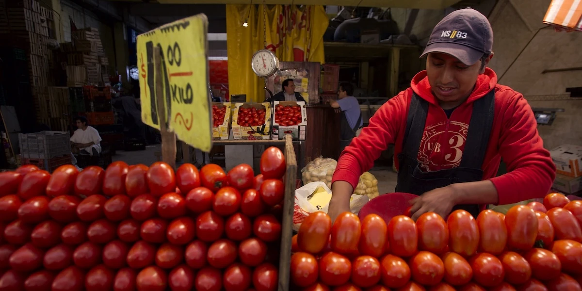 1 minuto faTrump ha imposto dazi pure sui pomodori messicani, dopo 29 anniErano stati chiesti da un tribunale ma poi sempre rimandati grazie a un accordo sui prezzi: da lunedì sono al 17 per cento