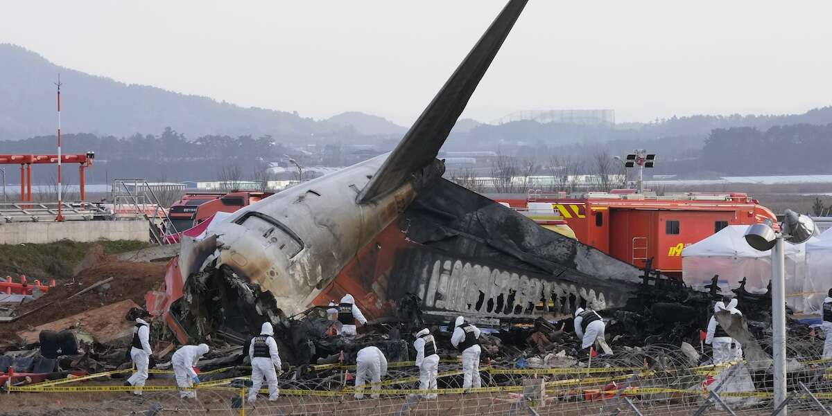 In Corea del Sud saranno installati sistemi di rilevazione degli uccelli in tutti gli aeroporti 