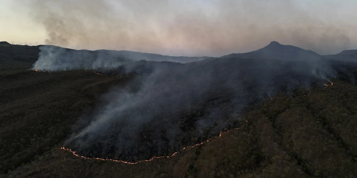 La Corte suprema del Brasile ha ordinato di confiscare i terreni delle persone responsabili di deforestazione illegale e incendi dolosi