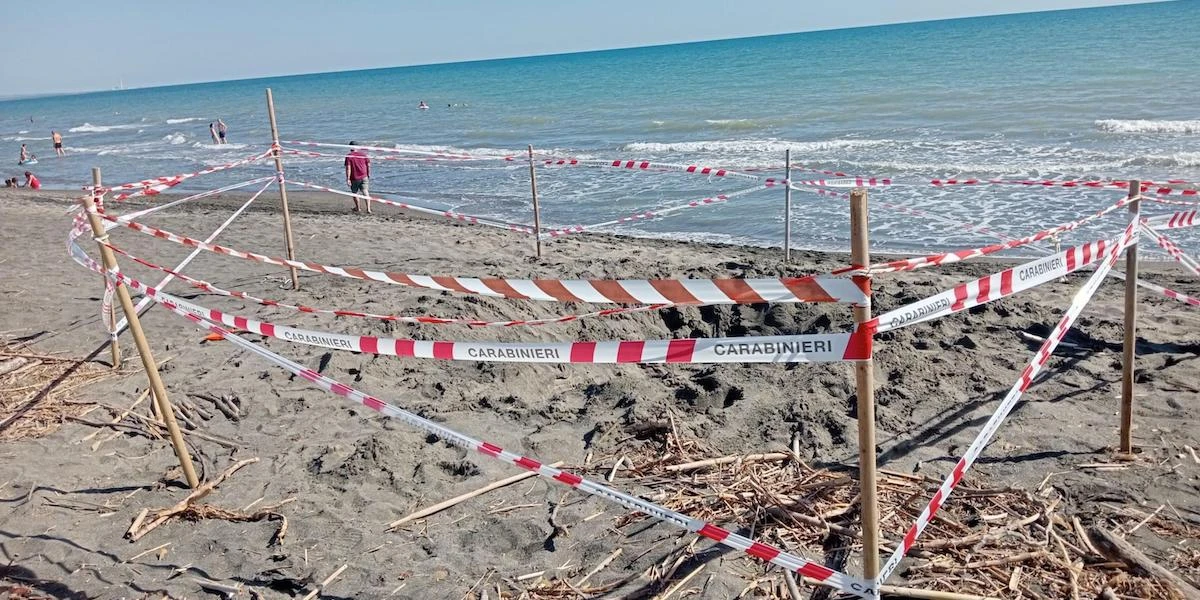 pochi secondi faCosa dice la legge quando muore un minorenneCome nel caso del 17enne morto sotto la sabbia a Montalto di Castro, in cui il padre è indagato per omicidio colposo