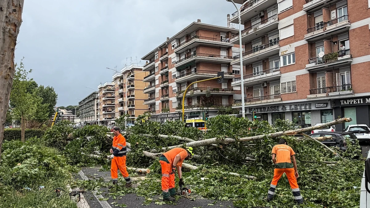 3 minuti faUn tornado a RomaAll'ora di punta, con un sacco di macchine in giro, un evento meterologico estremo e imprevisto ha causato molti danni, ma nessuno è rimasto ferito in modo grave