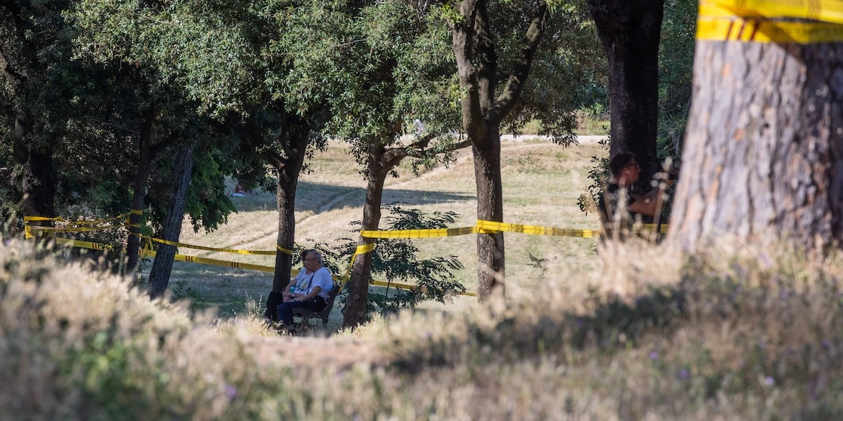 1 minuto faSecondo l’autopsia Anastasia Trofimova, la donna che era stata trovata morta a Villa Pamphili, è stata soffocata