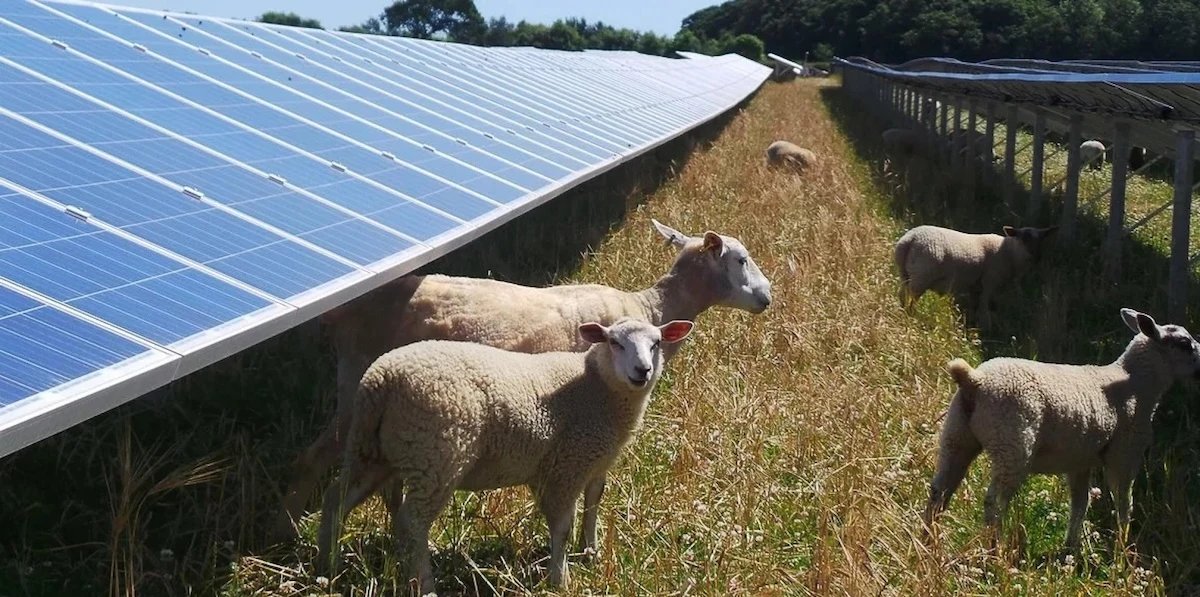 2 minuti faÈ sparito il decreto “Energia”Lo attendono da mesi le aziende del settore, ma c'è uno stallo politico e giuridico insieme, e intanto il ministro competente contraddice se stesso