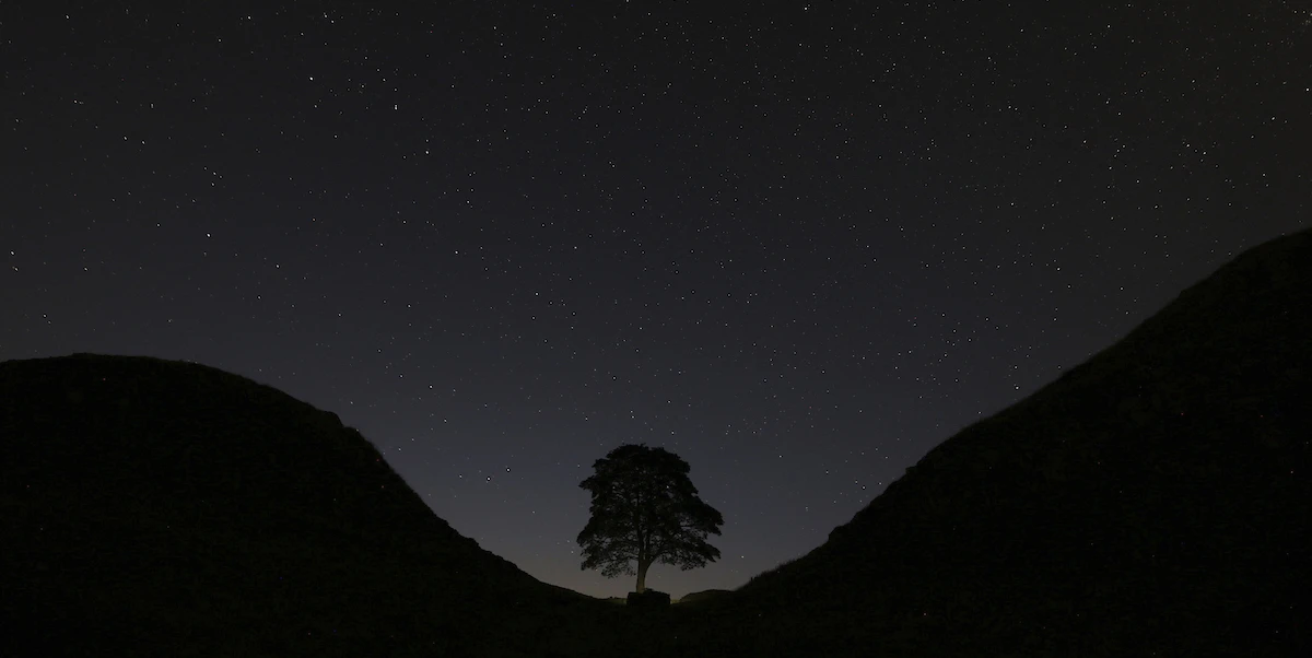 I due uomini accusati di aver abbattuto il Sycamore Gap Tree sono stati dichiarati colpevoli