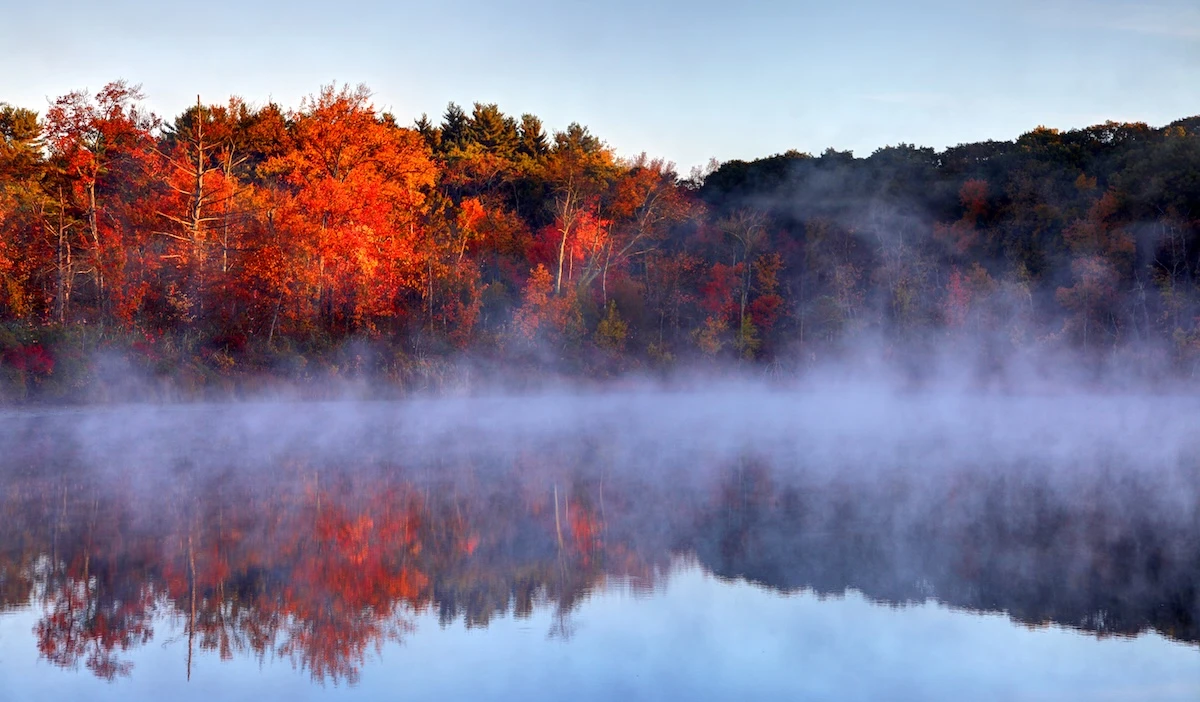 1 minuto faIl mistero delle foglie rosse d’autunnoNonostante lo notiamo da sempre, non è ancora chiaro perché alcuni alberi si diano da fare per tingere le loro foglie prime di liberarsene