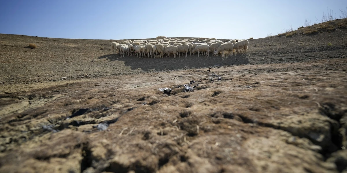 I tre dissalatori in Sicilia per l’emergenza idrica non serviranno a moltoNonostante le alte aspettative della Regione, che ci ha investito 100 milioni di euro