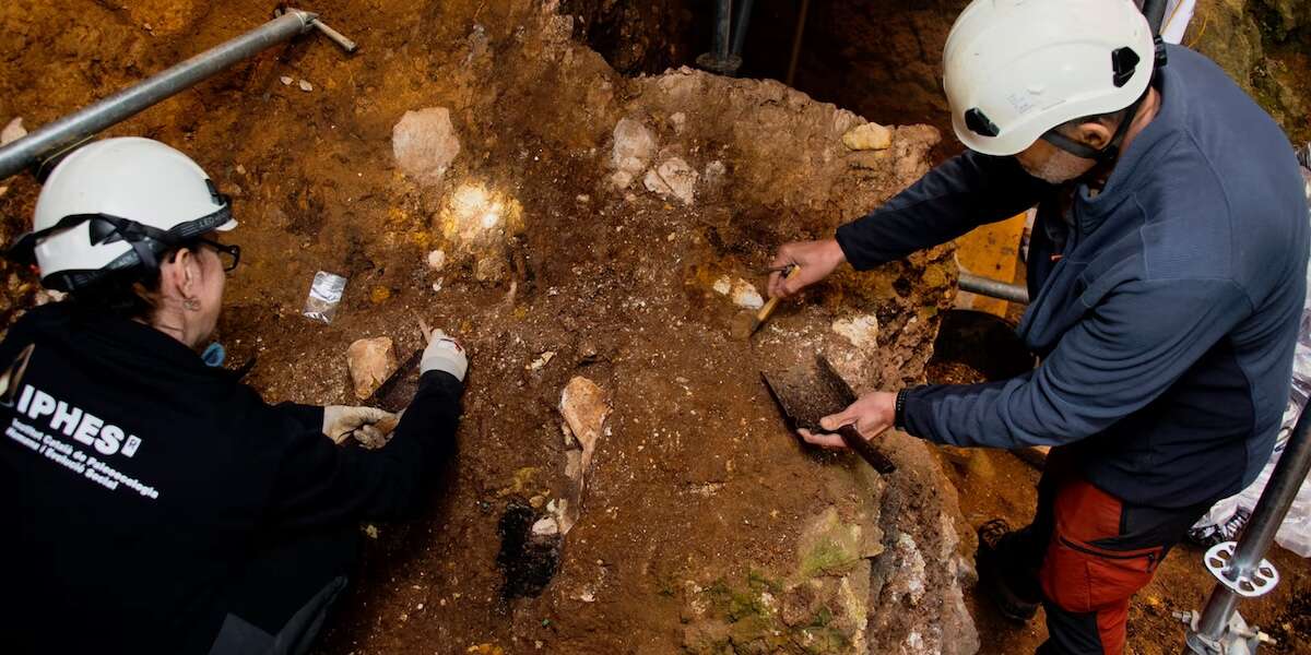 In Spagna sono stati trovati i più antichi resti di una specie umana dell’Europa occidentaleSono i frammenti di una mascella di più di un milione di anni fa, forse appartenuta a un individuo di Homo erectus