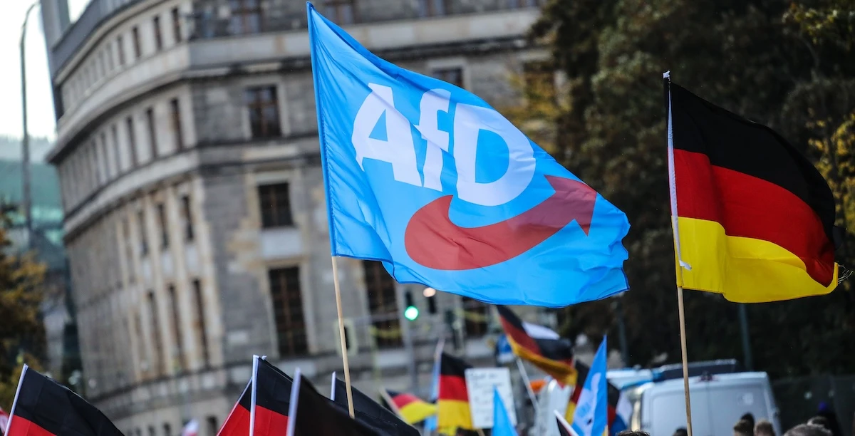 In Germania il partito di estrema destra AfD è stato dichiarato un pericolo per la democraziaÈ il secondo partito più grande del paese, e ora il parlamento potrebbe chiederne lo scioglimento