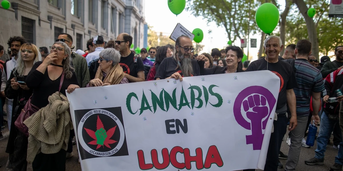 3 minuti faIl governo spagnolo ha autorizzato l’uso della cannabis per scopi terapeutici