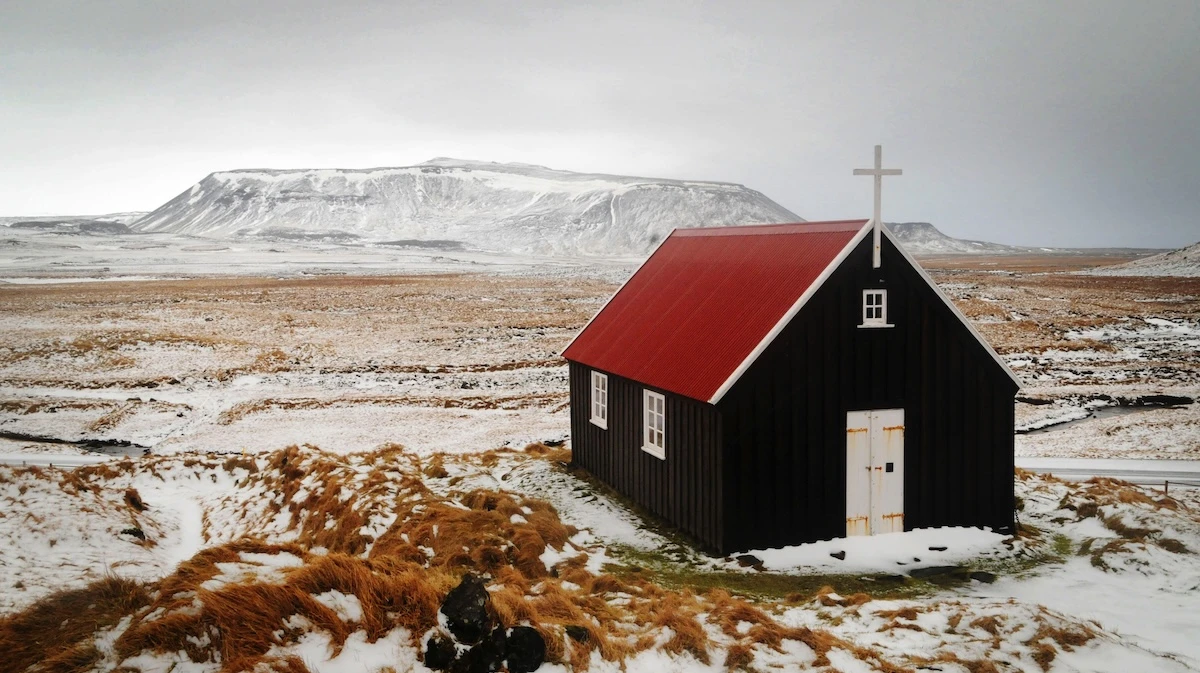 pochi secondi faLe zanzare sono arrivate in IslandaUno degli pochi paesi dove sembravano essere ancora assenti