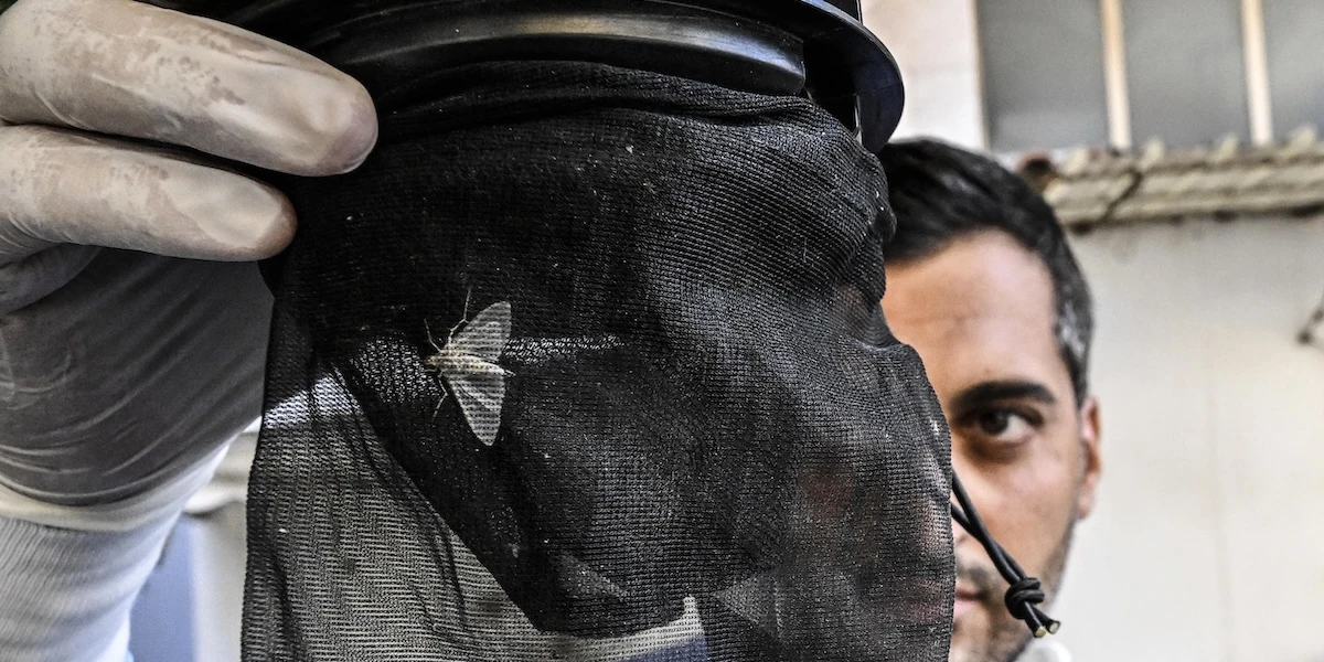 4 minuti faLe persone morte a causa della febbre West Nile in Italia sono dieci