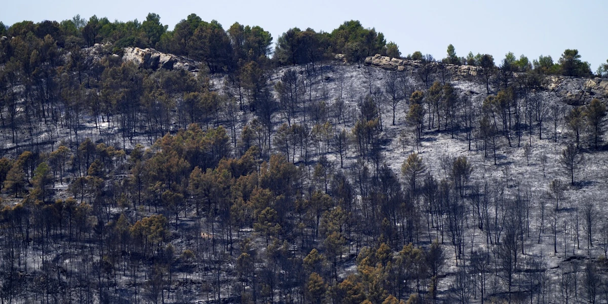 2 minuti faIl grande incendio boschivo nel sud-ovest della Francia ora è sotto controllo