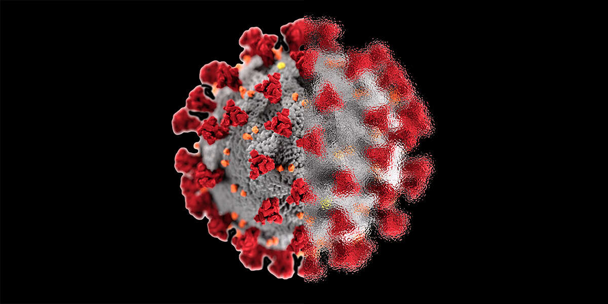 L’origine del coronavirus è ancora un misteroA cinque anni dall'inizio della pandemia si discute ancora sui primi tempi della sua diffusione, tra pipistrelli, caverne e ipotesi su fughe di laboratorio