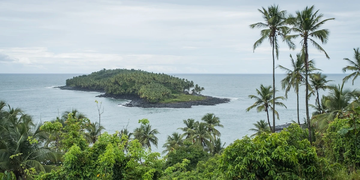 Il governo francese costruirà una prigione in mezzo alla foresta amazzonicaNella Guyana francese, dove un tempo c'era il famigerato carcere dell'isola del Diavolo