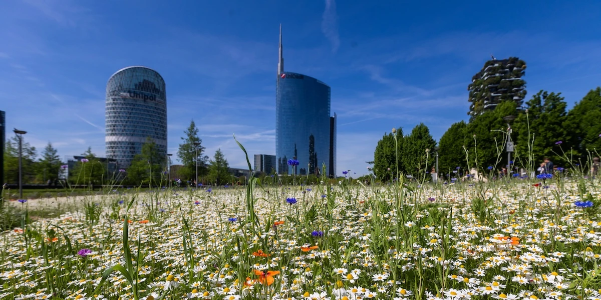 pochi secondi faCome è arrivata Coima a costruire mezza MilanoBreve storia dell'azienda più coinvolta nelle inchieste sull'urbanistica, che ha indirizzato lo sviluppo della città tra successi e critiche