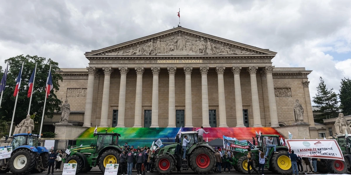 La protesta degli agricoltori francesi a favore di una legge contestata dagli ambientalistiPrevede la reintroduzione di un'insetticida che potrebbe aumentare la produzione, ma anche avere effetti negativi