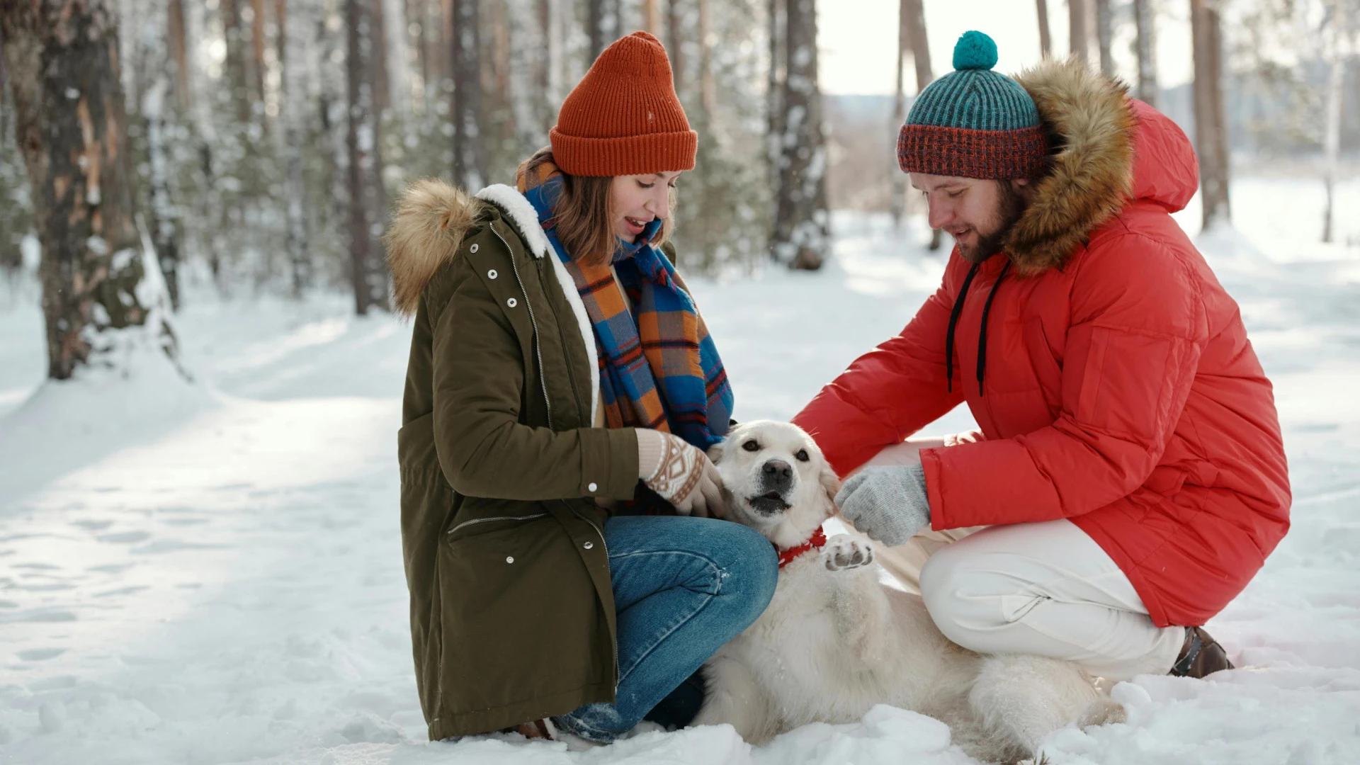 Protección, alimentación y abrigo: Cómo preparar a nuestra mascota para el invierno