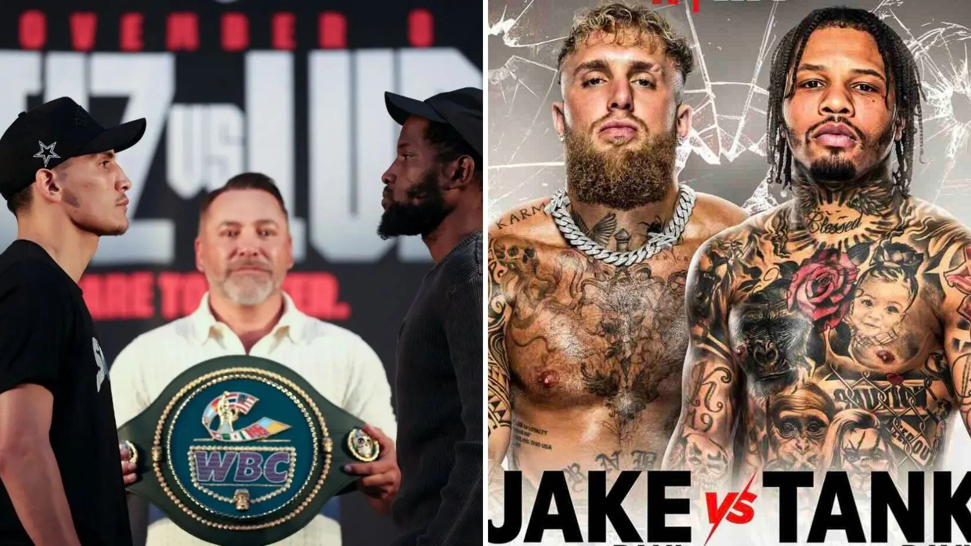 #Campodelgas (07-11-2025)