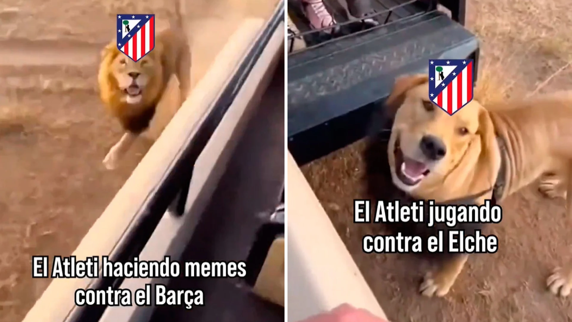 El Elche le manda un 'recado' al Atlético