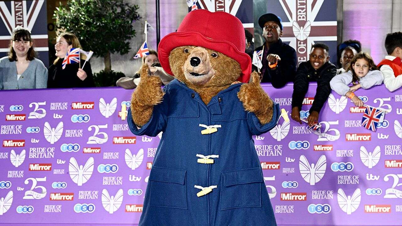 Obywatel Miś Paddington. Ulubieniec dzieci otrzymał brytyjski paszport