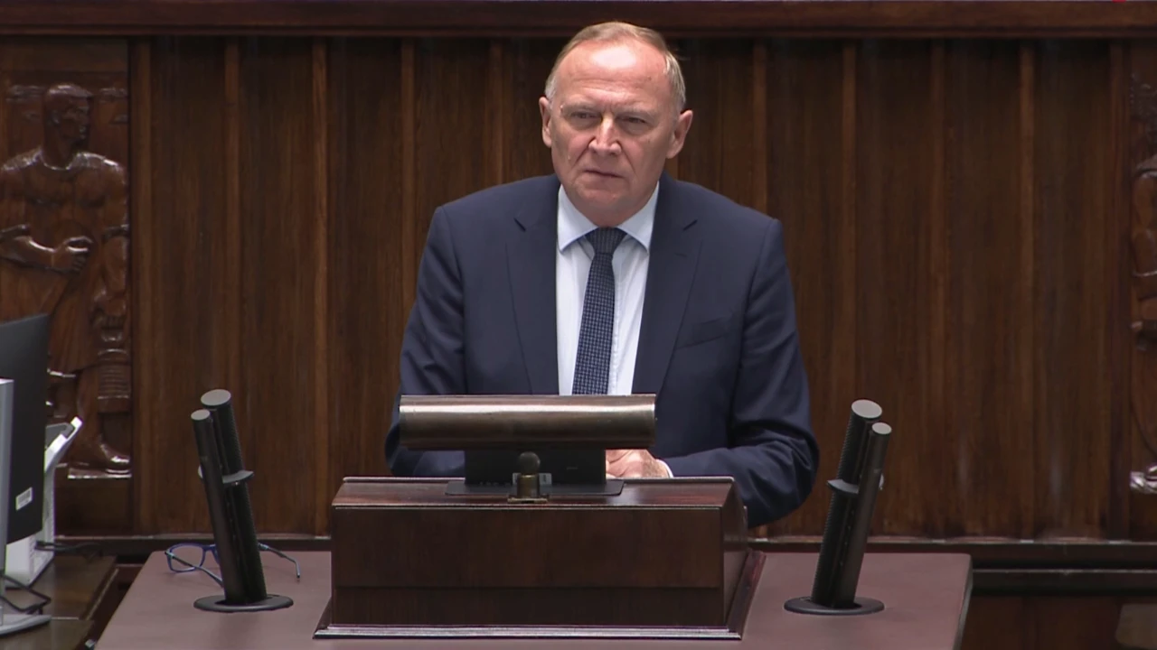 6,1 proc. podejrzanych to cudzoziemcy. MSWiA przedstawia statystyki