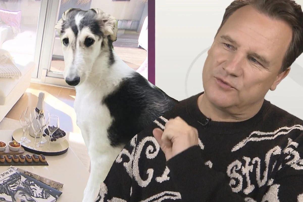 Guido Maria Kretschmer ärgert sich über Hündin: 