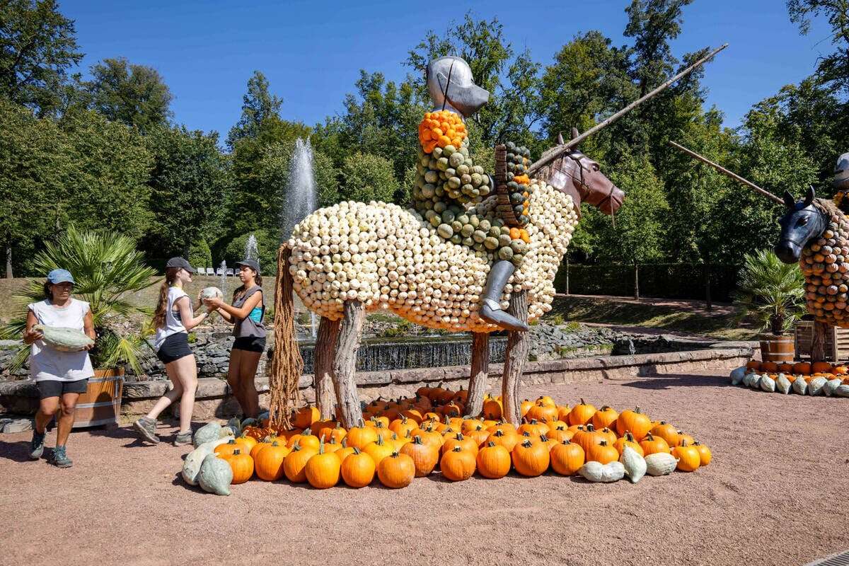 Großer Andrang in Lichtenwalde: Kürbisfestival lockt viele Besucher an