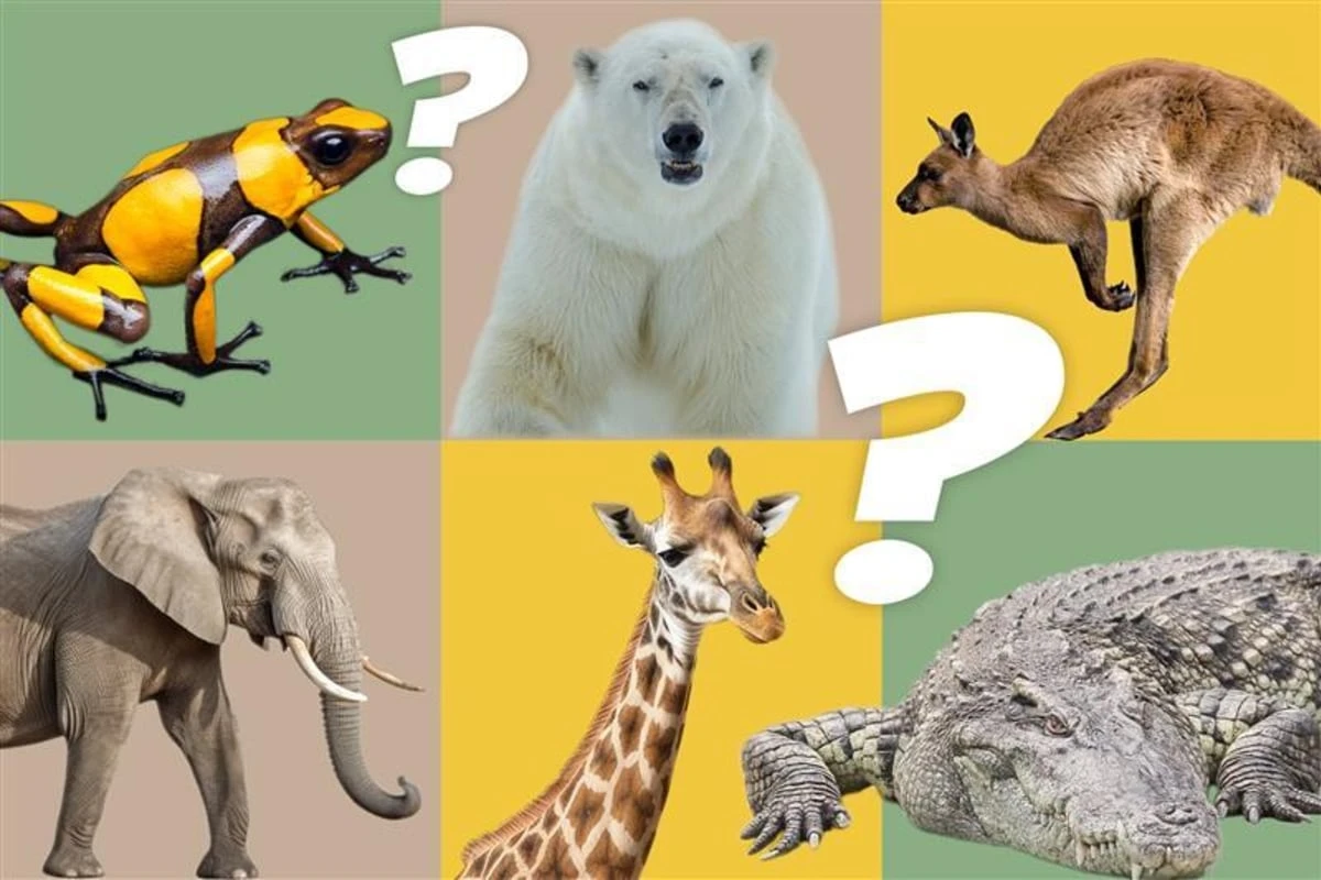Tier Quiz: Wie gut kennst Du die Tierwelt?
