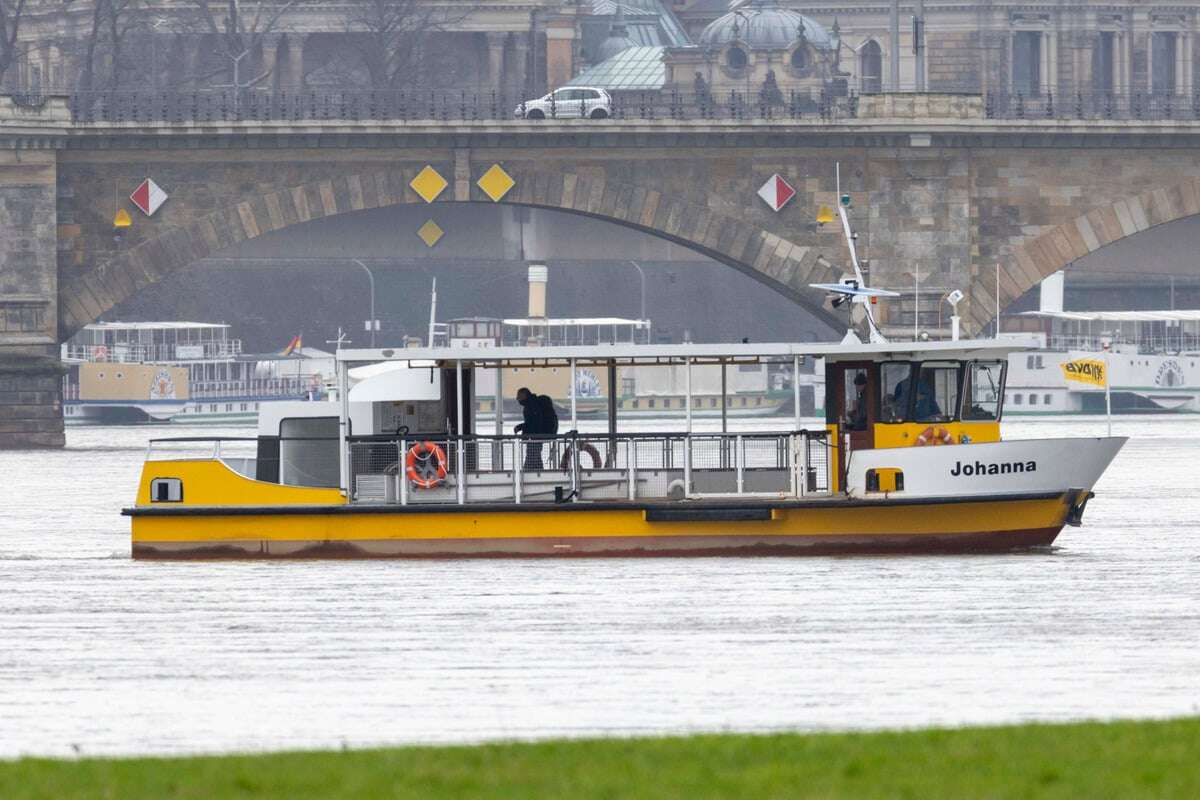 Anleger machte Probleme: Jetzt sind Dresdner Elbfähren wieder im Einsatz