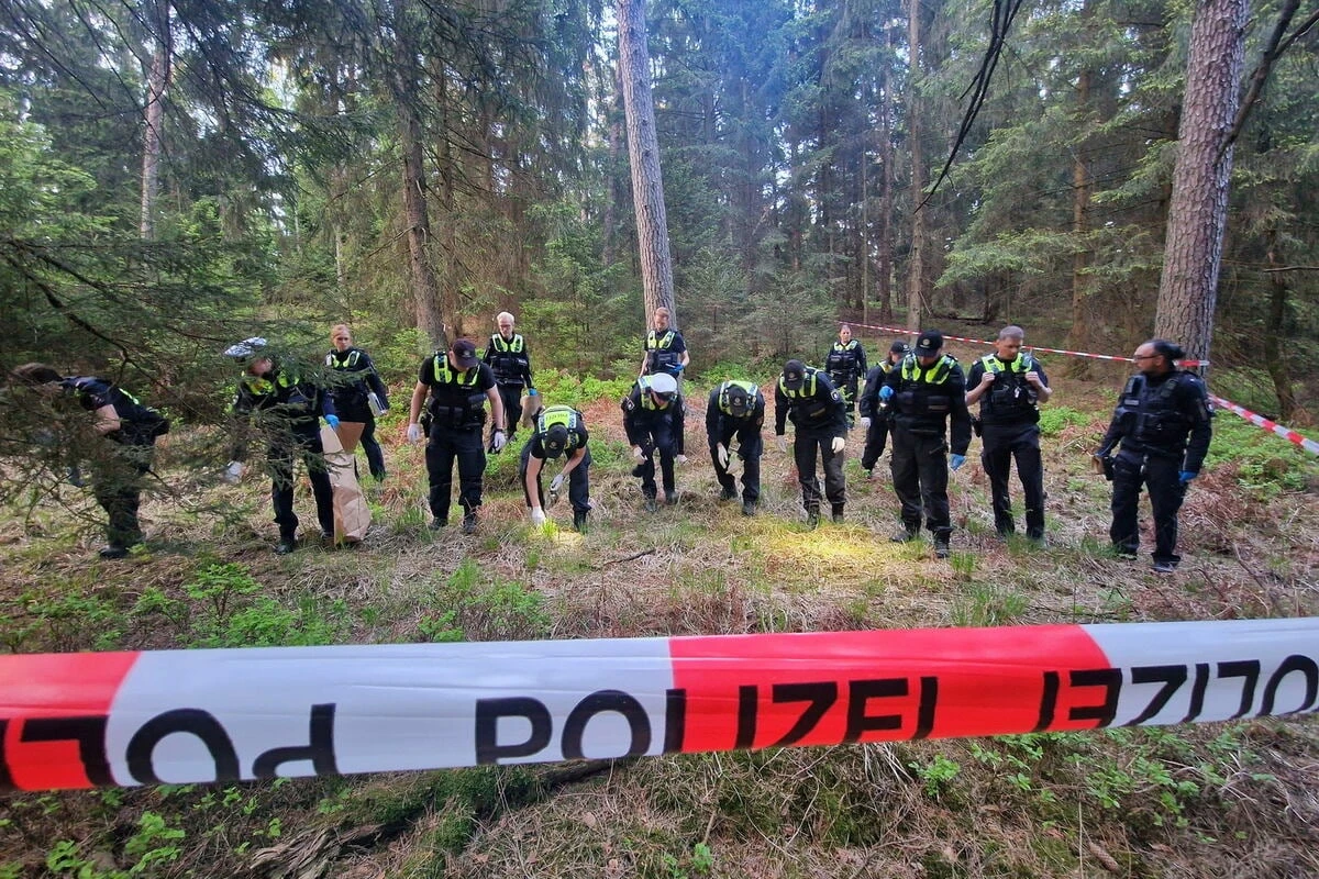 Skelett im Wald entdeckt: Hund findet Knochen, Halter nutzt Kotbeutel als Marker